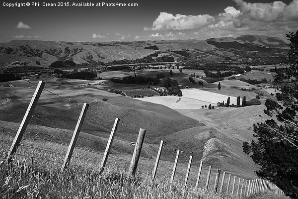 Fenced off hillside, Te Mata, New Zealand Picture Board by Phil Crean