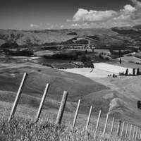 Buy canvas prints of Fenced off hillside, Te Mata, New Zealand by Phil Crean