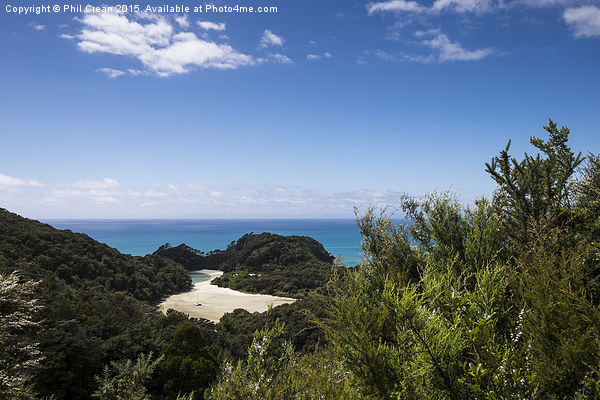  Frenchman Bay, Abel Tasman, New Zealand Picture Board by Phil Crean