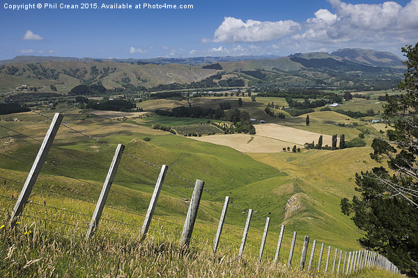  View from Te Mata, New Zealand Picture Board by Phil Crean
