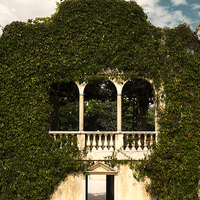 Buy canvas prints of  Italian arch overgrown, New Zealand by Phil Crean