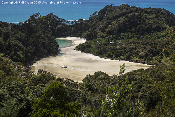  Frenchman Bay. Picture Board by Phil Crean