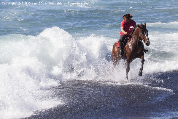 Horseman galloping through the surf II. Picture Board by Phil Crean