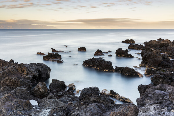 Rocky coastline, Tenerife Picture Board by Phil Crean