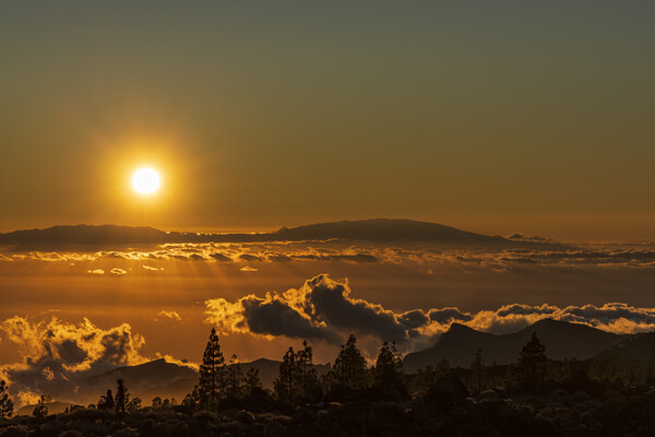 Hot sun over La Palma Picture Board by Phil Crean