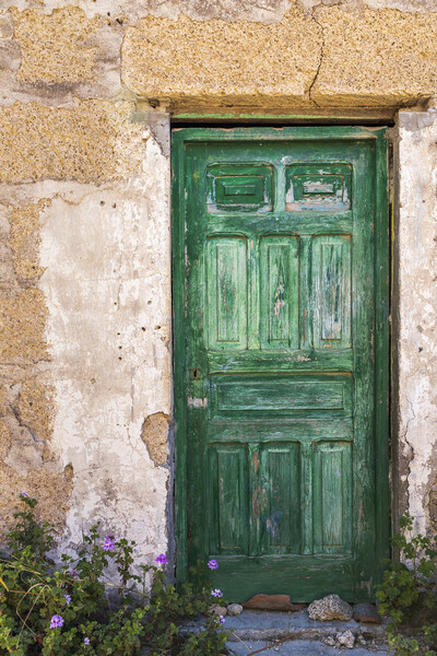 Old green door Picture Board by Phil Crean