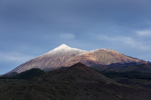 Snowcapped Teide, Tenerife Picture Board by Phil Crean