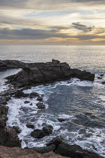 Volcanic coastline at sunset Tenerife Picture Board by Phil Crean