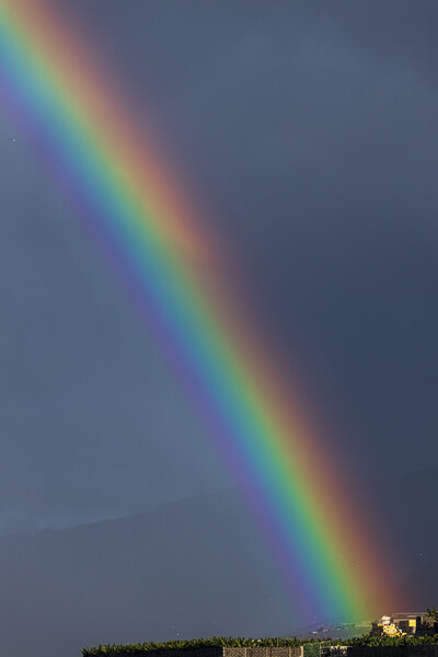 Vivid rainbow Picture Board by Phil Crean