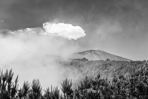Teide appears behind cloud, Tenerife Picture Board by Phil Crean