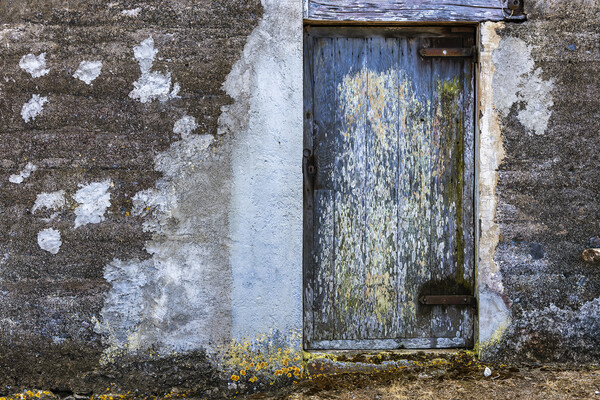 Old lichen covered door, Tenerife Picture Board by Phil Crean