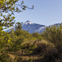 Buy canvas prints of Light snow cover on Teide, Tenerife by Phil Crean