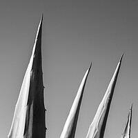 Buy canvas prints of Agave cactus points by Phil Crean