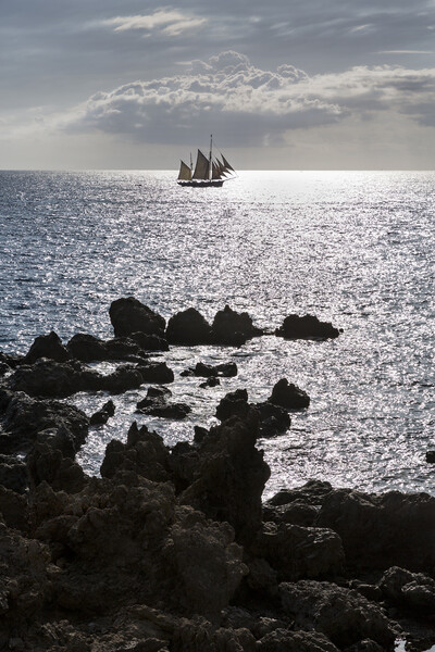 Tall ship offshore, Tenerife Picture Board by Phil Crean