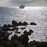 Buy canvas prints of Tall ship offshore, Tenerife by Phil Crean
