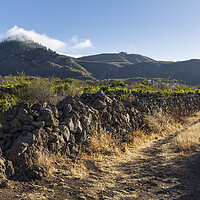 Buy canvas prints of Rural path, Tenerife by Phil Crean