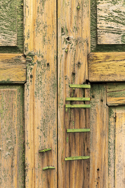 Old distressed door detail Tenerife Picture Board by Phil Crean