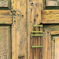 Buy canvas prints of Old distressed door detail Tenerife by Phil Crean