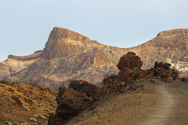Volcanic landscape Tenerife Picture Board by Phil Crean