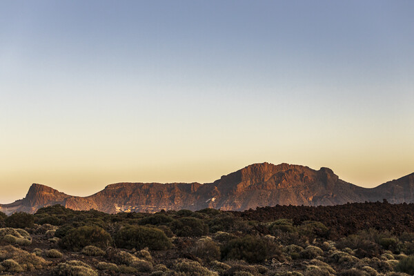 Twilight in the Teide national park, Tenerife Picture Board by Phil Crean