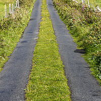 Buy canvas prints of Country road, Mayo, Ireland by Phil Crean