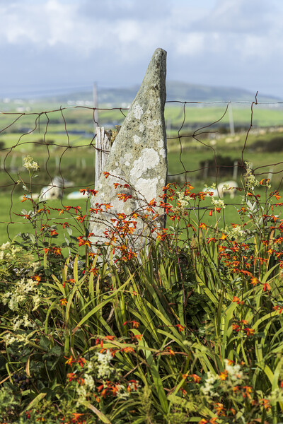 Stone fence post, Louisburgh, Mayo, Ireland Picture Board by Phil Crean