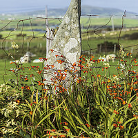 Buy canvas prints of Stone fence post, Louisburgh, Mayo, Ireland by Phil Crean