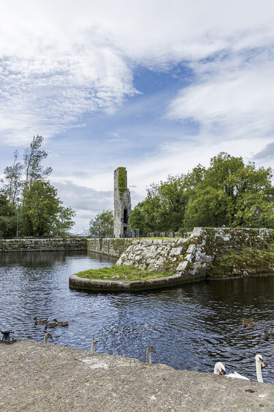 Garrykennedy Castle, Lough Derg, Tipperary, Ireland Picture Board by Phil Crean