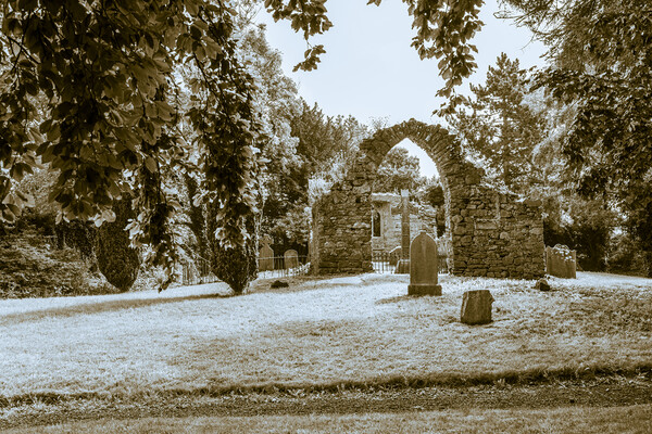 Ruins of the medieval church in Johnstown, Kildare Picture Board by Phil Crean