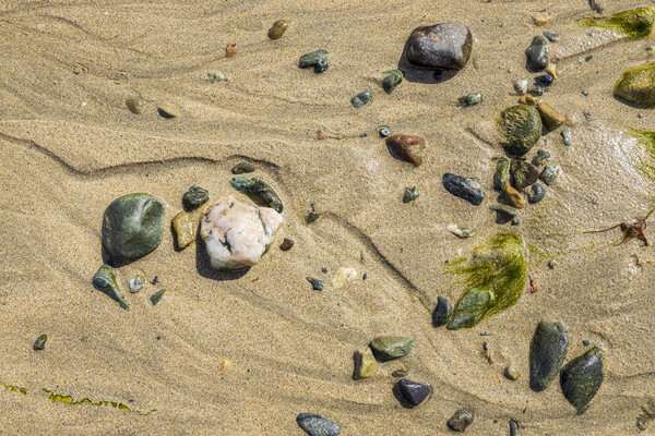 Beach details, Old Head, Louisburgh, Mayo, Ireland Picture Board by Phil Crean