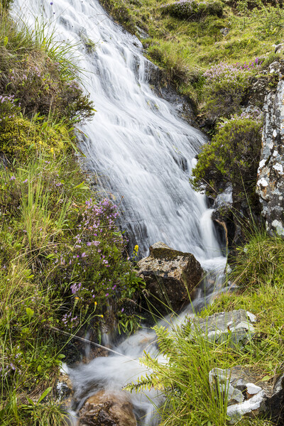 Waterfall in Mayo, Ireland Picture Board by Phil Crean