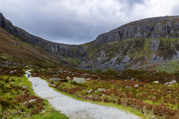 Mahon Falls walk, Waterford, Ireland Picture Board by Phil Crean
