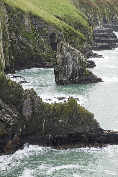 Old Head, Kinsale, Cork, Ireland Picture Board by Phil Crean