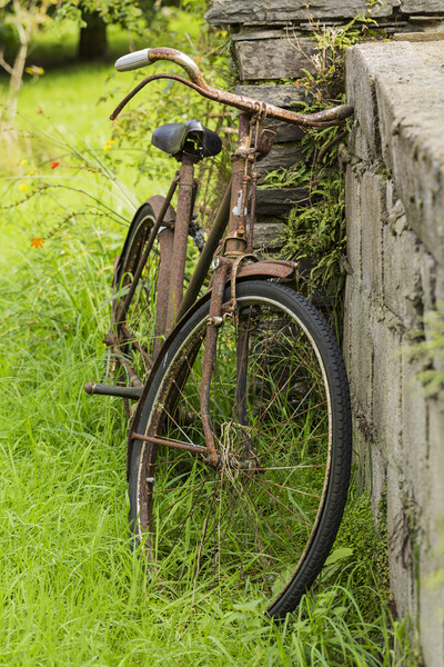 Rusty old bicycle, West Cork, Ireland Picture Board by Phil Crean