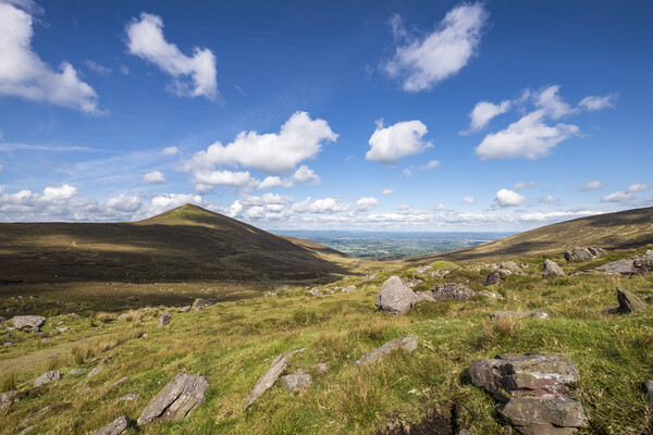 Glen of Aherlow, Galtee mountains, Tipperary, Ireland Picture Board by Phil Crean