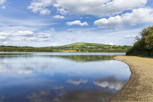 Blessington lakes wicklow ireland Picture Board by Phil Crean