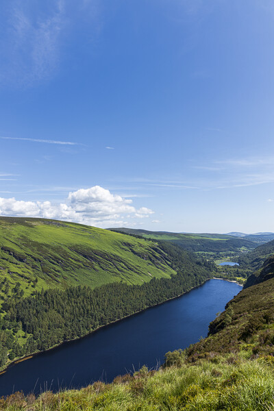 Glendalough valley and Upper lake, Wicklow, Irelan Picture Board by Phil Crean