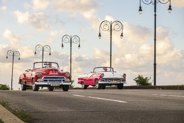 Open top American vintage cars, Cuba Picture Board by Phil Crean