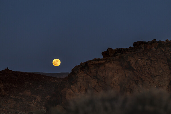 Full moon rising over Tenerife Picture Board by Phil Crean