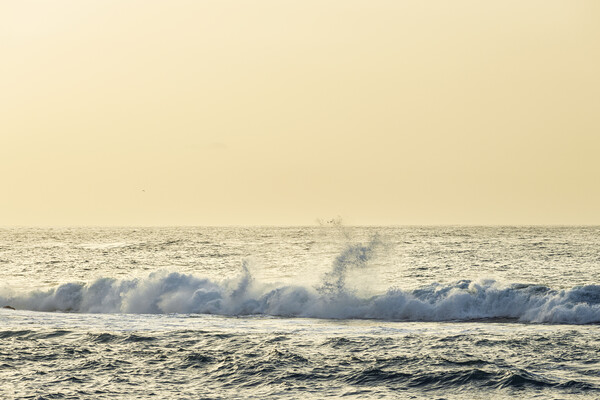 Sublime waves at Playa Jardin, Puerto de La cruz, Tenerife Picture Board by Phil Crean