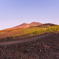 Buy canvas prints of Teide and Pico Viejo at sunset, Tenerife by Phil Crean