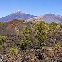 Buy canvas prints of Mount Teide volcano, Tenerife by Phil Crean