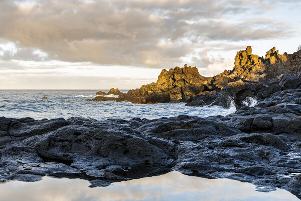 Dawn light hitting rocks on the coast, Tenerife Picture Board by Phil Crean
