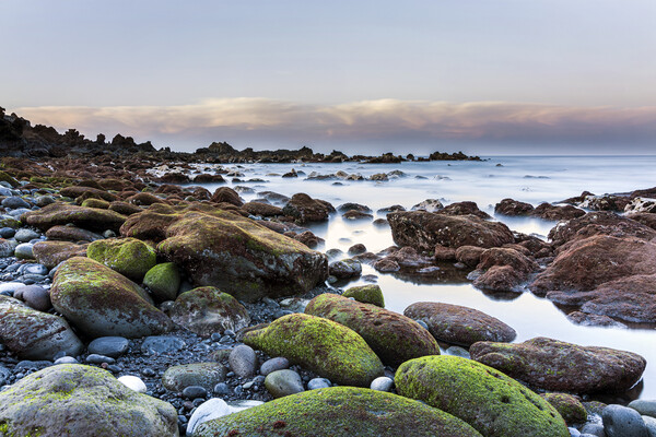 Green stones on the west coast at dawn, Tenerife Picture Board by Phil Crean