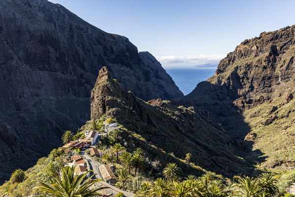Overlooking Masca, Tenerife Picture Board by Phil Crean