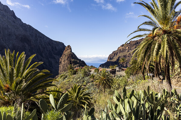 Masca village, Tenerife Picture Board by Phil Crean