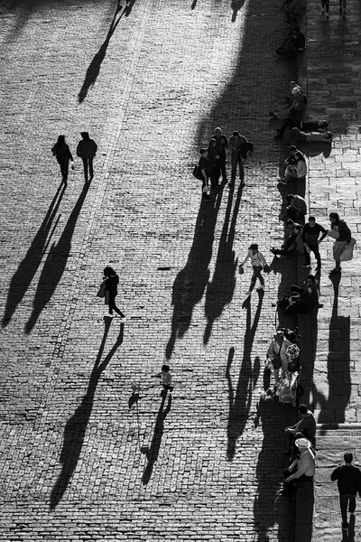 Long shadows on cobblestones, Arequipa, Peru Picture Board by Phil Crean