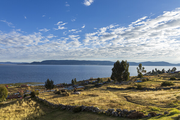 Lake Titicaca, Peru Picture Board by Phil Crean