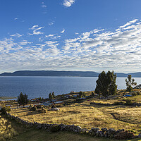 Buy canvas prints of Lake Titicaca, Peru by Phil Crean