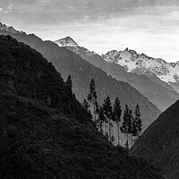 Buy canvas prints of Inca trail in the Andes, Peru by Phil Crean